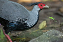 BUITEN BEELD Foto: 248755