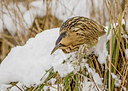 BUITEN BEELD Foto: 248808