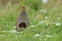 BUITEN BEELD Foto: 248817