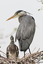 BUITEN BEELD Foto: 248922