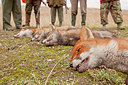 BUITEN BEELD Foto: 248957