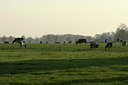 BUITEN BEELD Foto: 24022