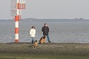 BUITEN BEELD Foto: 24135
