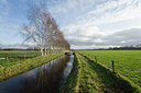 BUITEN BEELD Foto: 24147