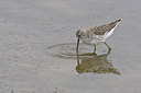 BUITEN BEELD Foto: 24167