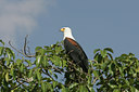 BUITEN BEELD Foto: 24204