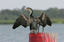 BUITEN BEELD Foto: 24211