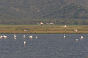 BUITEN BEELD Foto: 24255