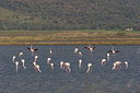 BUITEN BEELD Foto: 24256
