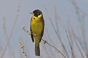 BUITEN BEELD Foto: 24260