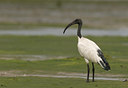 BUITEN BEELD Foto: 24317