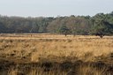 BUITEN BEELD Foto: 24323