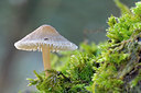 BUITEN BEELD Foto: 24330