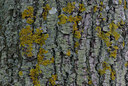 BUITEN BEELD Foto: 24335