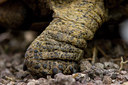 BUITEN BEELD Foto: 24341