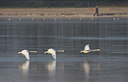 BUITEN BEELD Foto: 24416