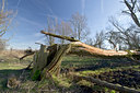 BUITEN BEELD Foto: 24459