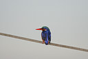 BUITEN BEELD Foto: 24497