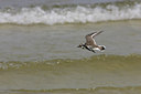 BUITEN BEELD Foto: 24503