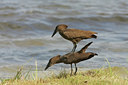 BUITEN BEELD Foto: 24509