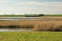 BUITEN BEELD Foto: 24543