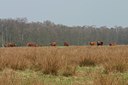 BUITEN BEELD Foto: 24644