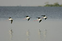 BUITEN BEELD Foto: 24689