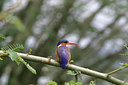 BUITEN BEELD Foto: 24697