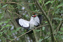BUITEN BEELD Foto: 24699