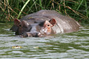BUITEN BEELD Foto: 24859