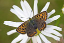 BUITEN BEELD Foto: 24877