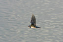 BUITEN BEELD Foto: 24924