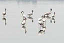 BUITEN BEELD Foto: 24931