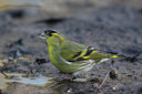 BUITEN BEELD Foto: 24974