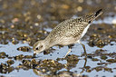 BUITEN BEELD Foto: 249011