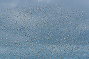 BUITEN BEELD Foto: 249028