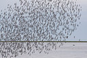 BUITEN BEELD Foto: 249037