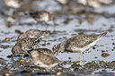 BUITEN BEELD Foto: 249044