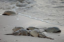 BUITEN BEELD Foto: 249143