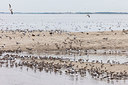 BUITEN BEELD Foto: 249148