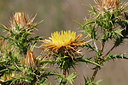 BUITEN BEELD Foto: 249162