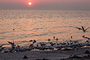 BUITEN BEELD Foto: 249176