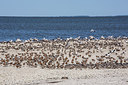 BUITEN BEELD Foto: 249183