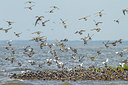 BUITEN BEELD Foto: 249233