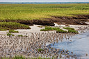 BUITEN BEELD Foto: 249236