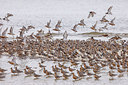 BUITEN BEELD Foto: 249242