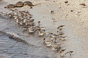 BUITEN BEELD Foto: 249274