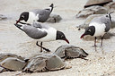 BUITEN BEELD Foto: 249282