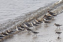 BUITEN BEELD Foto: 249287