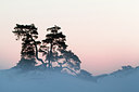 BUITEN BEELD Foto: 249414